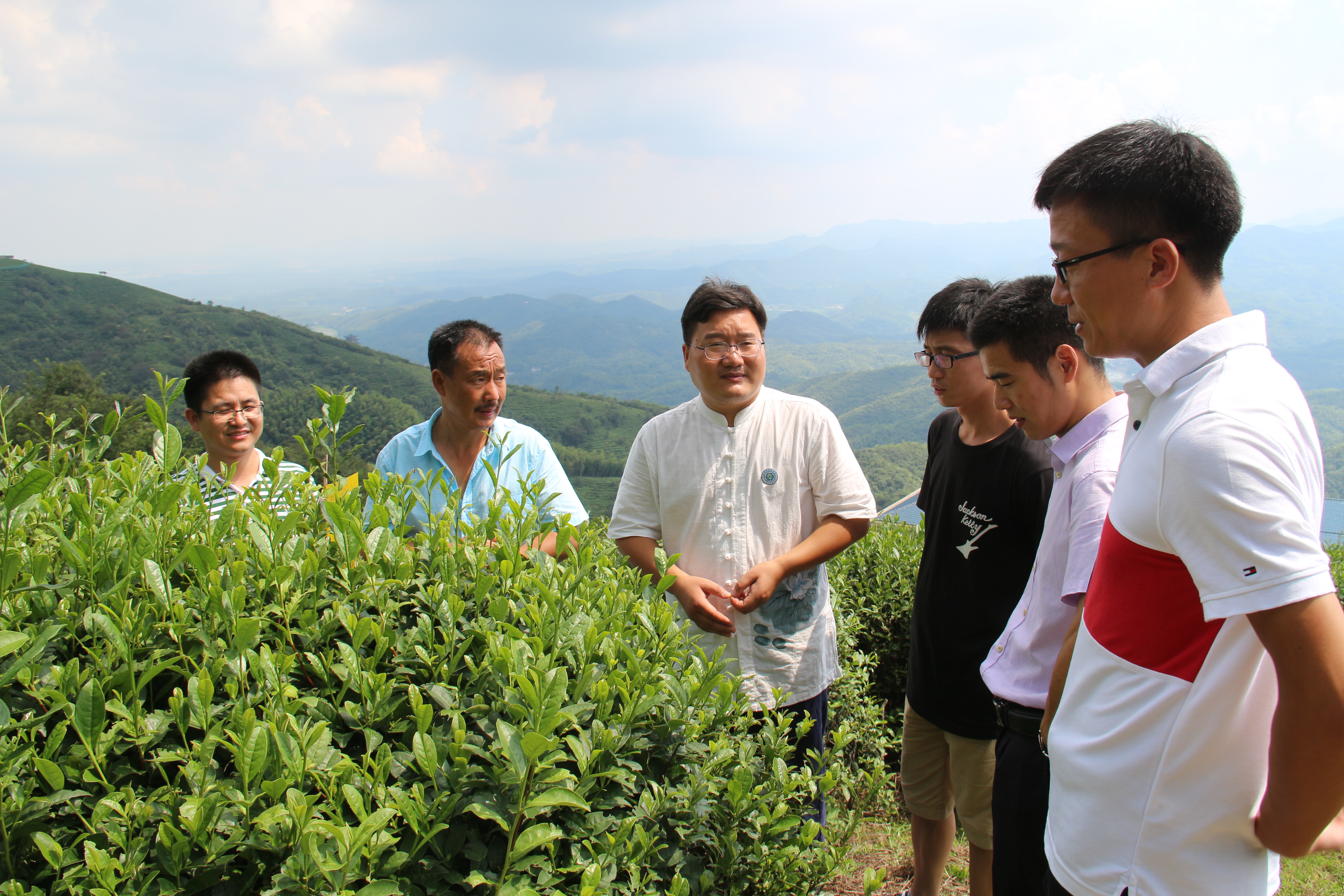 图片5：河南省科技特派员服务队和九华山茶业交流茶旅融合方案.JPG