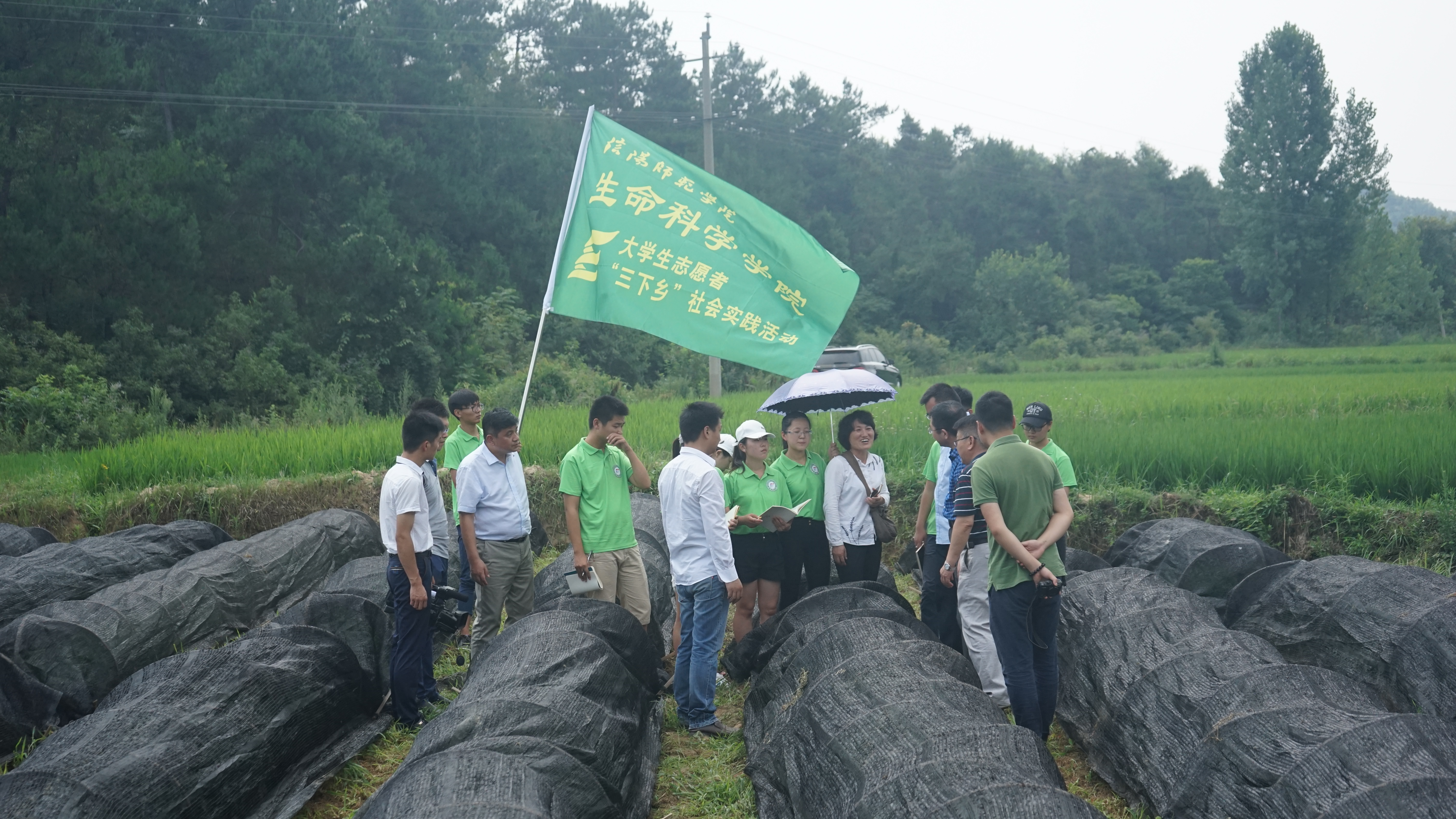 3.技术总监黄守延带领服务团来到“信阳10号”繁育基地.JPG